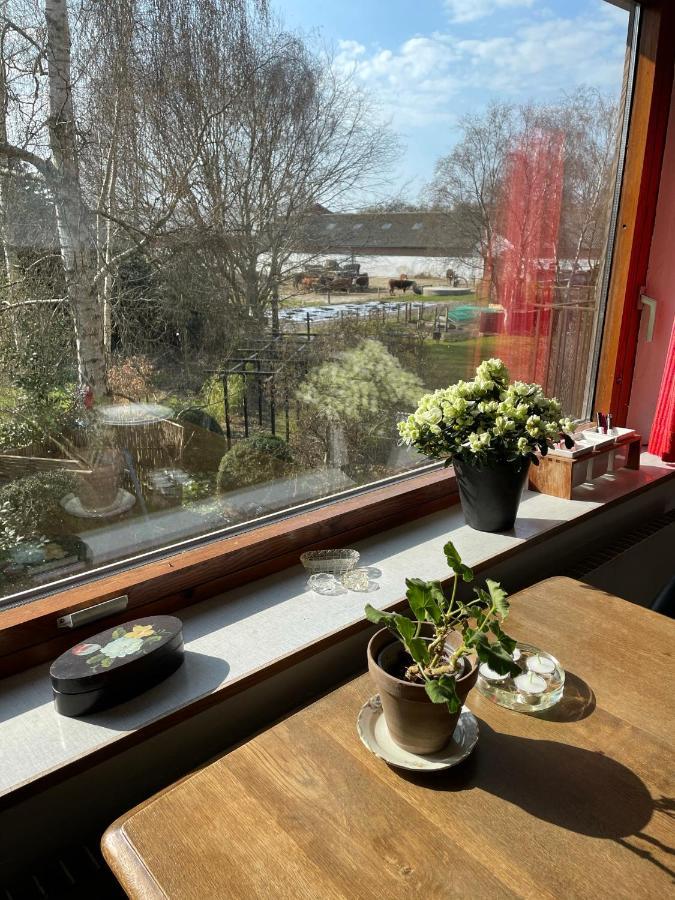Retro Bolig - Fyldt Med Hygge! Ingen Luksus Apartment Kolind Екстериор снимка